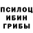 Псилоцибиновые грибы GOLDEN TEACHER RemiBoy