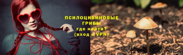 амф Семилуки