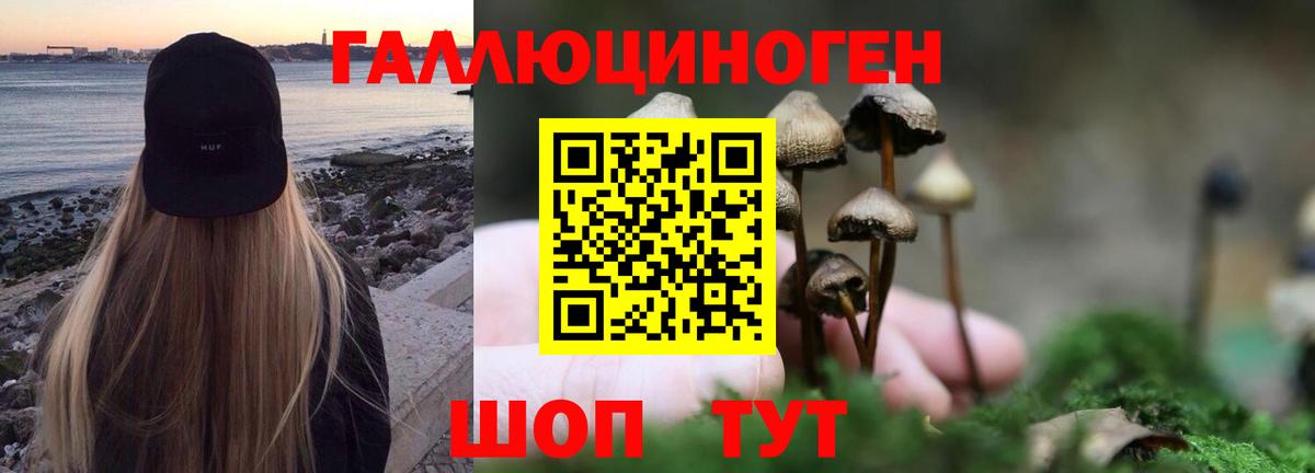 Россошь  Галлюциногенные грибы Psilocybe  Вход с VPN  Псилоцибиновые грибы ЛСД 